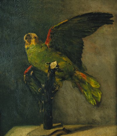الببغاء الأخضر ؛ الببغاء الأخضر ، 1885 بواسطة فنسنت فان جوخ