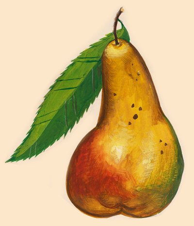 الكمثرى مع ورقة الرسم بواسطة WG (بعد) ثاير