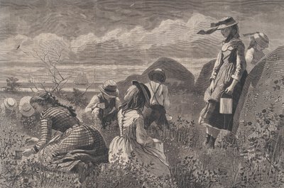 جمع التوت هاربر ويكلي ، المجلد. الثامن عشر ، 11 يوليو 1874. بواسطة WH Lagarde