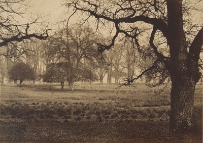 حديقة وندسور ، إطعام الغزلان ، 1850. بواسطة WH نيكول