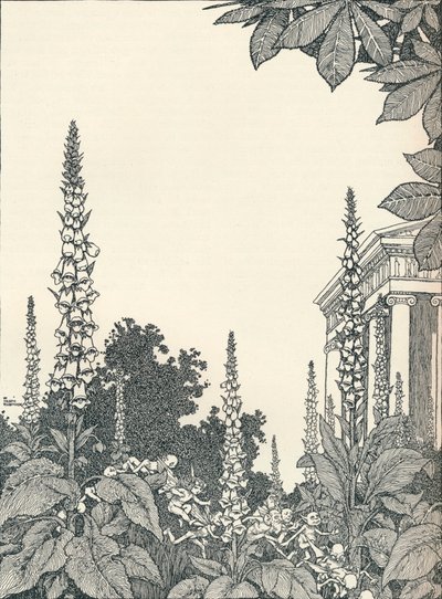 رسم توضيحي لحلم ليالي منتصف الصيف ، 1914 ، 1925. بواسطة وليام هيث روبنسون