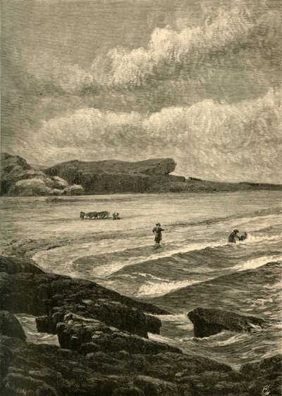 مقعد بيركلي ، ١٨٧٢. بواسطة دبليو جي لينتون