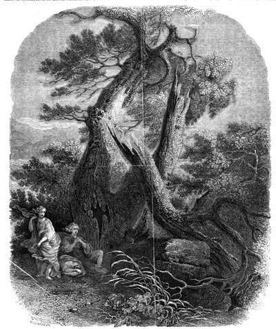 عينة من النقش على الخشب ، موت أطفال نيوب ، ... 1844. بواسطة دبليو جي لينتون