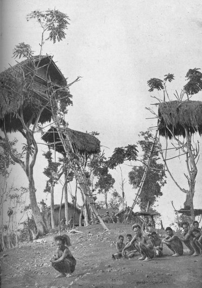دوبوس ، بيوت الشجر للنساء غير المتزوجات في ميلانيزيا ، 1902 بواسطة دبليو ليندت