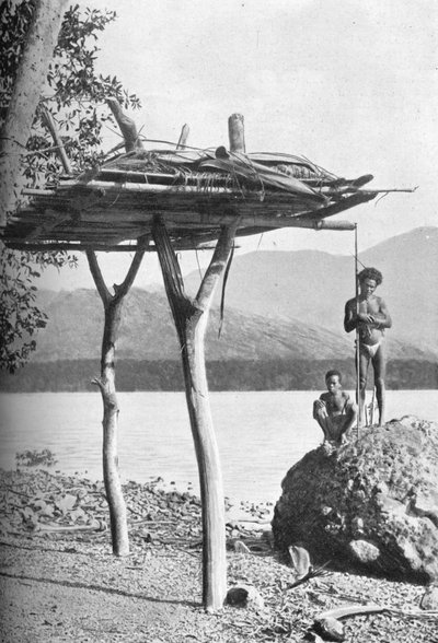 منصة الجثث في غينيا الجديدة ، 1902 بواسطة دبليو ليندت