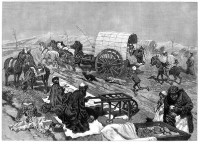 الجامع النسائي ، كاشغار ، آسيا الوسطى ، 1875. بواسطة دبليو بالمر