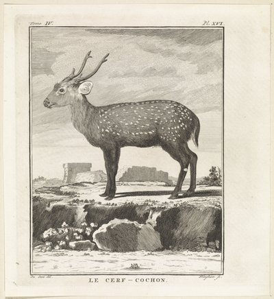 هيرت Le Cerf-Cochon (العنوان على الكائن) بواسطة جان هيرمان شنايدر (ربما)