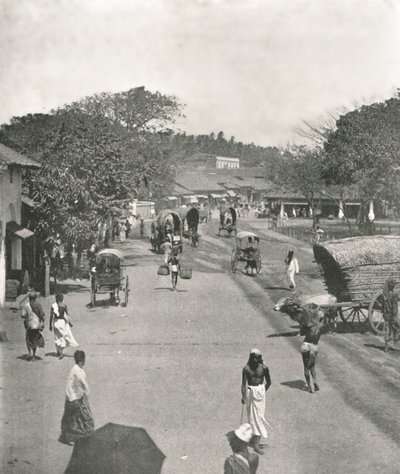 مشهد الشارع بالقرب من دار البلدية ، كولومبو ، سيلان ، 1895. بواسطة W and S Ltd