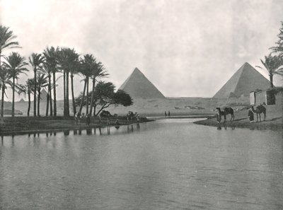 الأهرامات والنيل ، الجيزة ، مصر ، 1895. بواسطة W and S Ltd
