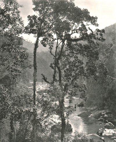 منظر لنهر كيلاني ، كورونيغالا ، سيلان ، 1895. بواسطة W and S Ltd