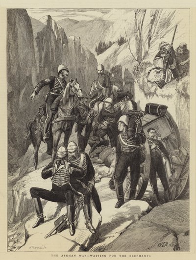 الحرب الأفغانية تنتظر الفيلة بواسطة Walter Charles Horsley