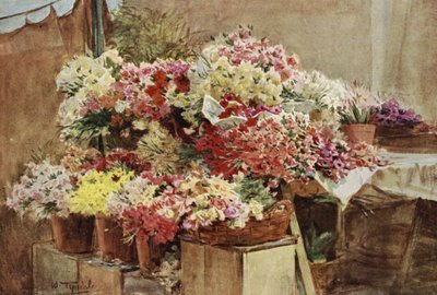 كشك الزهور ، سوق مينتون بواسطة Walter Frederick Roofe Tyndale