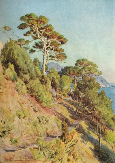 في فيلا بيوما ، سيستري ليفانتي ، c1910 ، 1912 بواسطة والتر فريدريك روف تندل