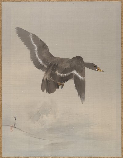 الاوزة الطائرة ، كاليفورنيا. 1887. بواسطة واتانابي باجي