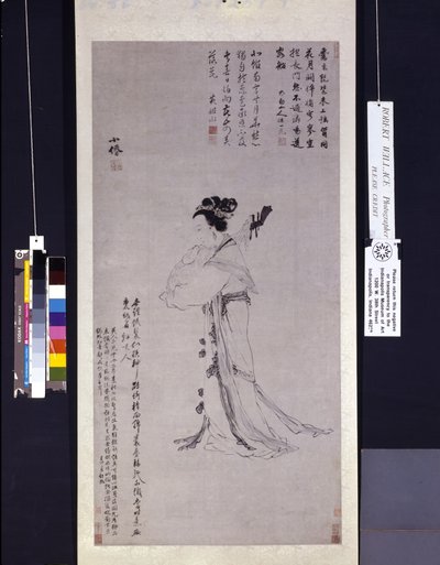 السيدة ذات العود بواسطة وي وو