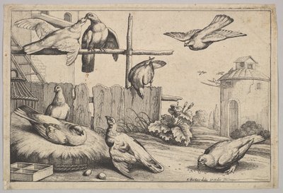 ثمانية حمامات ، 1625-1677. بواسطة وينسلوس هولار