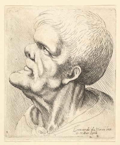 رأس رجل بارز وذقن بارز وأنف مزعج ينظر لأعلى في شكل جانبي إلى اليسار ، 1625-77. بواسطة وينسلوس هولار