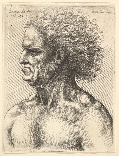 رأس رجل عجوز عضلي في شكل جانبي إلى اليسار بشعر متدفق ، 1625-77. بواسطة وينسلوس هولار