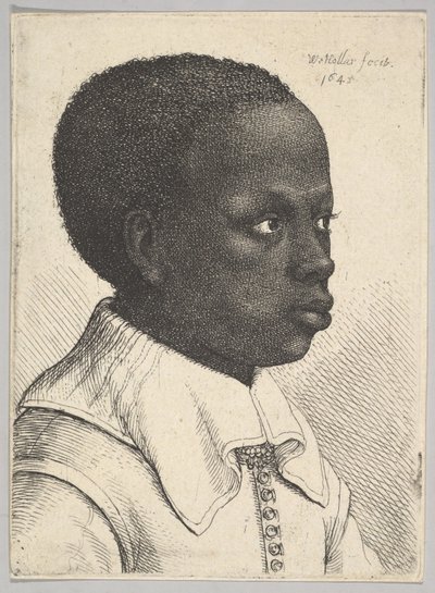 رأس صبي أسود صغير في ملفه الشخصي إلى اليمين ، 1645. بواسطة وينسلوس هولار