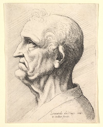 رأس رجل عجوز مع خصلات شعر مجعد حول الأذن في الجانب الأيسر ، 1644-52. بواسطة وينسلوس هولار