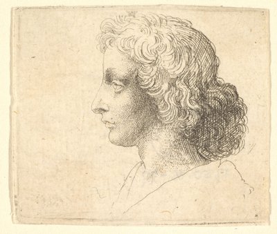 رأس شاب ذو شعر طويل على اليسار ، 1644-52. بواسطة وينسلوس هولار