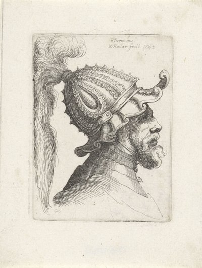 رأس رجل يرتدي خوذة برقوق رؤساء مع خوذات بعد Parmigianino (عنوان المسلسل) بواسطة وينسلوس هولار