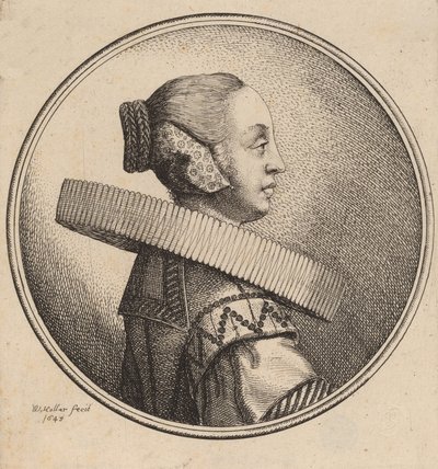 امرأة مع راف في الملف الشخصي ، 1643. بواسطة وينسلوس هولار