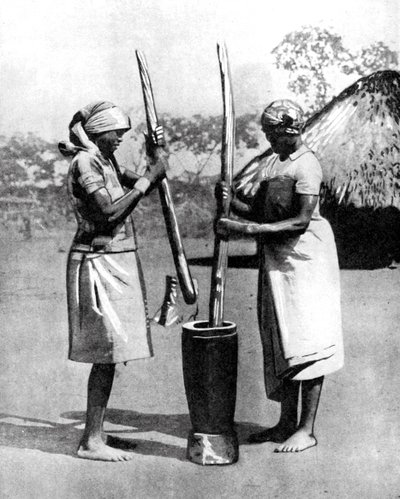 امرأتان من قبائل ماشونا تضربان الذرة والدخن ، زمبابوي ، إفريقيا ، 1936. بواسطة صور العالم الواسع