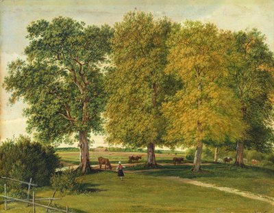 راعي مع الماشية تحت أشجار الخريف ، c.1821 (زيت على ورق موضوع على ورق مقوى) بواسطة فيلهلم ألكسندر كوبيل