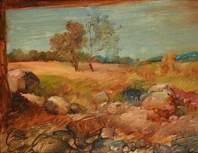 منظر من حظيرة بواسطة Wilhelm Busch