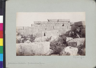 هيرون تريسا بواسطة ويلهلم جي برجر