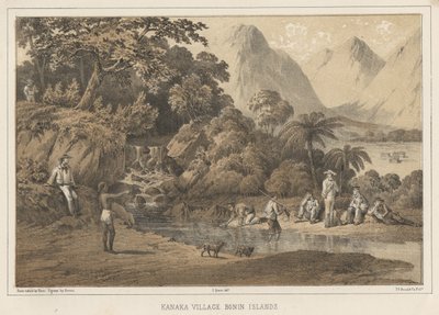 جزر Kanaka Village Bonin ، 1855 بواسطة فيلهلم جوزيف هاينه