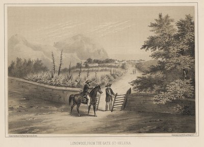 لونجوود ، من البوابة ، سانت هيلانة ، 1855 بواسطة فيلهلم جوزيف هاينه