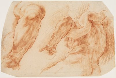 لاكون. دراسات للذراع الأيسر لـ Laocoon والجزء الخلفي من جذعه من اليسار ومن الأسفل بواسطة ويليم بانيلز