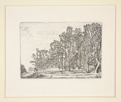 اثنين من السياج الخشبي ، اللوحة 6 من مجموعة المناظر الطبيعية بواسطة Willem Pietersz. Buytewech