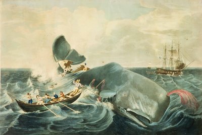 القبض على حوت العنبر، نقش بقلم ج. هيل، نُشر عام 1835 (نقش أكواتينت ملون) بواسطة وليام (بعد) الصفحة