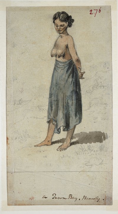 ويسترن ديجيتال 961 f.276 بواسطة وليام الكسندر