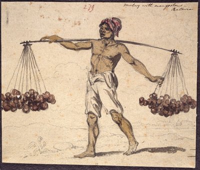 ويسترن ديجيتال 961 f.279 بواسطة وليام الكسندر