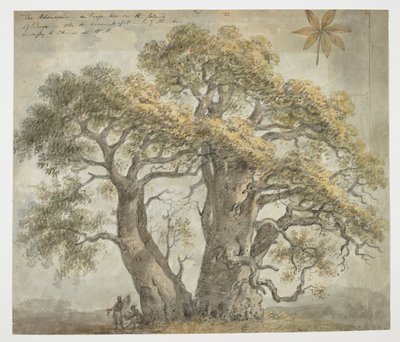ويسترن ديجيتال 961 f.32 بواسطة وليام الكسندر