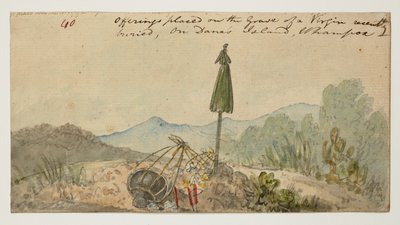 ويسترن ديجيتال 961 f.40 بواسطة وليام الكسندر