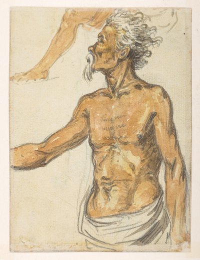 [f.4 24v رجل مسن.  من ألبوم يحتوي على 372 رسمًا للمناظر الطبيعية والسواحل والأزياء والحياة اليومية التي تم صنعها خلال سفارة اللورد ماكارتني إلى إمبراطور الصين ، بين عامي 1792 و 1794 (قلم رصاص وألوان مائية على ورق) بواسطة وليام الكسندر