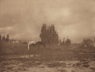 منظر باسادينا ، 1899. بواسطة وليام بي بوست