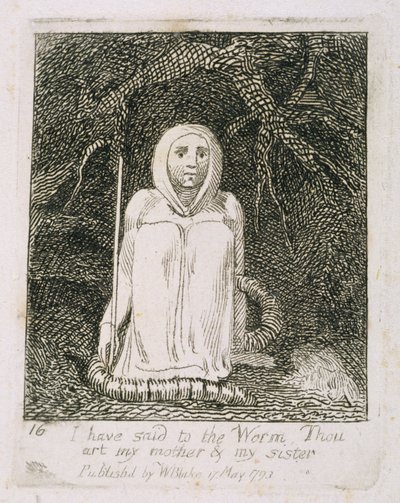 لقد أخبرت الدودة أنك أمي وأختي ، اللوحة 17 من &39;For Children. أبواب الجنة ، 1793 بواسطة وليام بليك