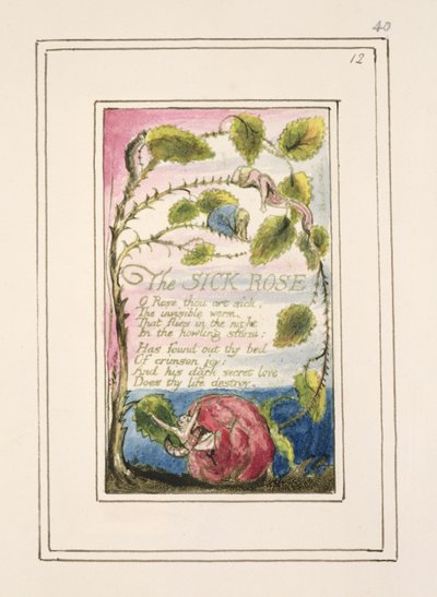 P.124-1950.pt40 The Sick Rose: اللوحة 40 من "أغاني البراءة والخبرة" (نسخة R) c.1802-08 (النقش والحبر والمرحاض) بواسطة وليام بليك
