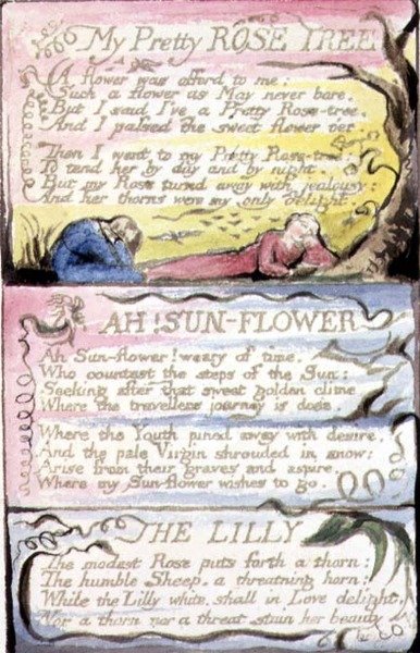 ص.124-1950.pt44 My Pretty Rose Tree؛ آه! دوار الشمس؛ The Lilly: اللوحة 44 من "أغاني البراءة والخبرة" (نسخة R) حوالي 1802-08 (حفر وحبر وألوان مائية) بواسطة وليام بليك