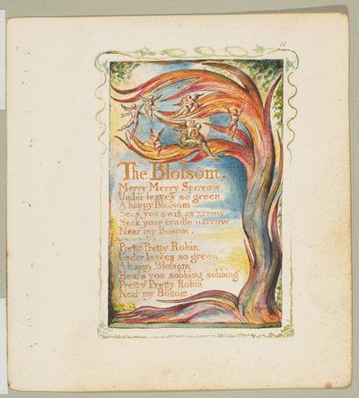 أغاني البراءة والخبرة: The Blossom: Merry Merry Sparrow ، كاليفورنيا. 1825. بواسطة وليام بليك