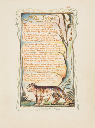 أغاني البراءة والخبرة: The Tyger، c.1825 (نقش الحبر البني باليد بالألوان المائية) بواسطة وليام بليك