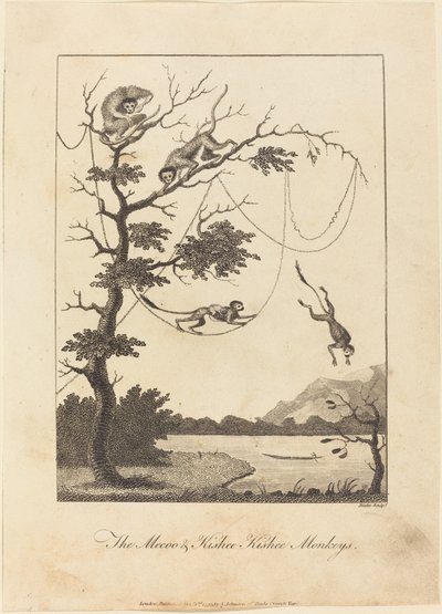 The Mecoo & Kisbee Kishee Monkeys1793. بواسطة وليام بليك