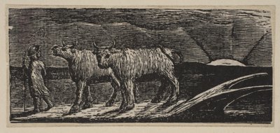 Unyokd Heifers ، Loitering Homeward ، من Thorntons Pastorals of Virgil ، 1821. بواسطة وليام بليك