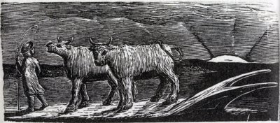 Heifers Unyoked Loitering Homeward ، رسم توضيحي من دكتور ثورنتون "The Pastorals of Virgil" بواسطة وليام بليك